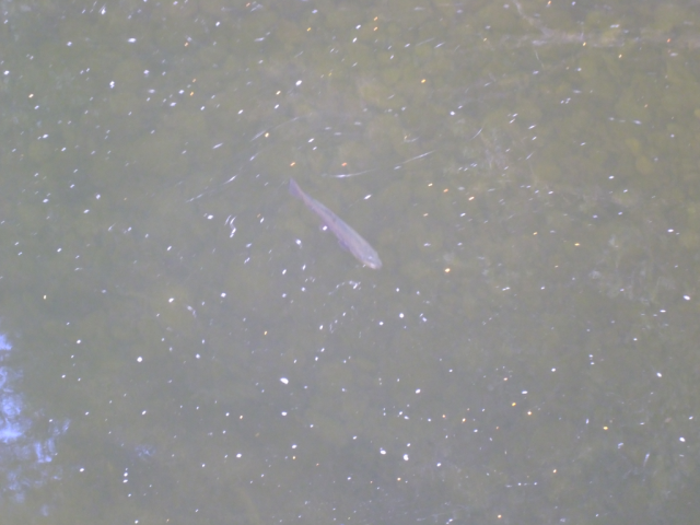 2012-04-28 16.29.04